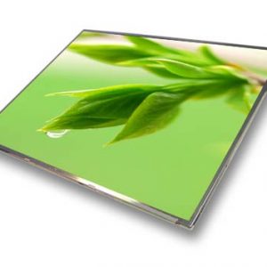 Dell Latitude 100L Lcd Screen