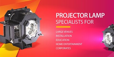 projector lamp specialist
