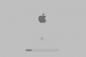 The Mac Doesn't Start, But Hangs At A Blue Or Grey Screen