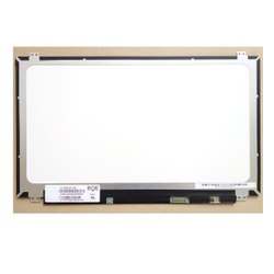 Dell Inspiron N5010 Display Screen